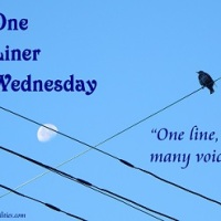 One liner Wednesday: Alternative dictionary...